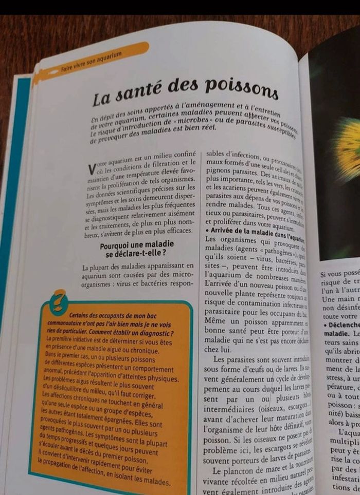 Poissons - photo numéro 2