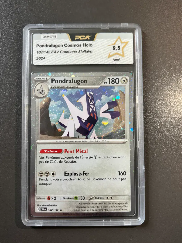 Pondralugon cosmos holographique 107/142