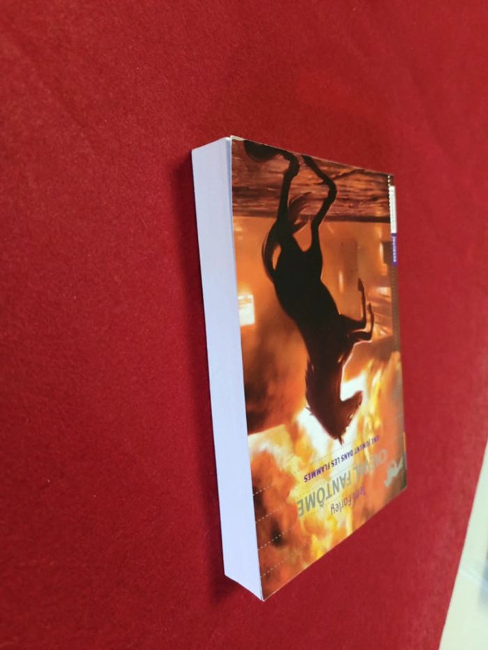 Cheval fantôme Tome 3 " Une jument dans les flammes " Terri Farley - photo numéro 5