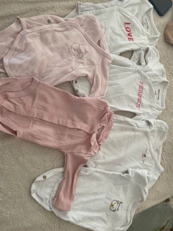 Lot body