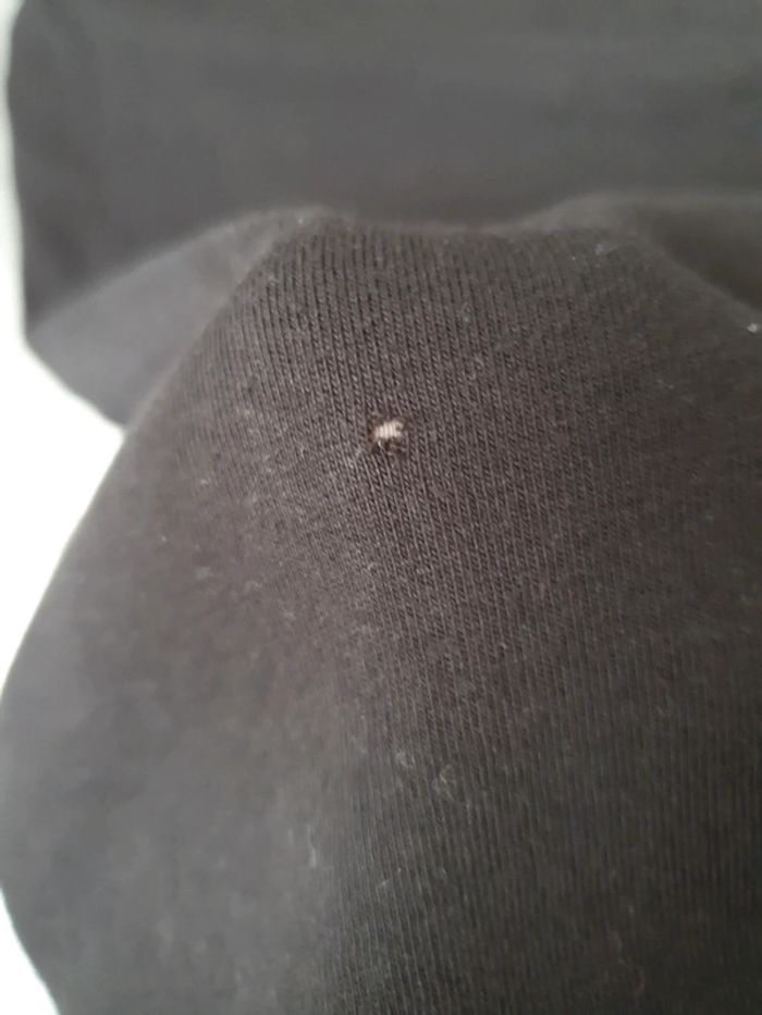 Lot 3 corsaires grossesse 38/40 bon état - photo numéro 13