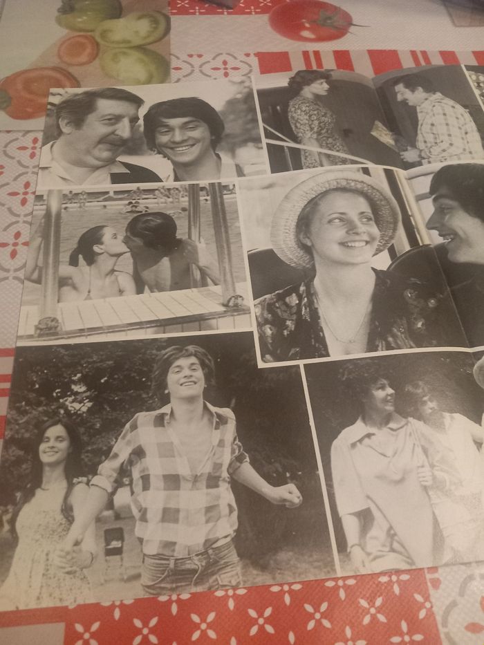 Affiche et synopsis du film : Dis bonjour à la dame - photo numéro 6