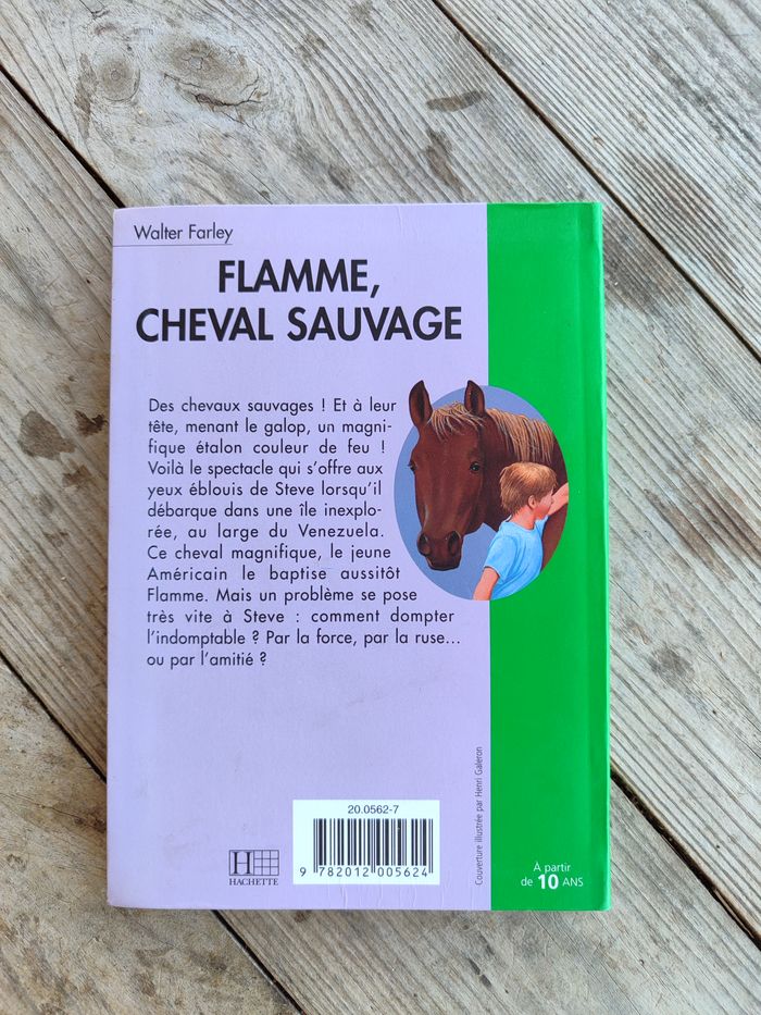 Flamme cheval sauvage - BV - photo numéro 2