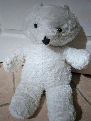 Ours en peluche