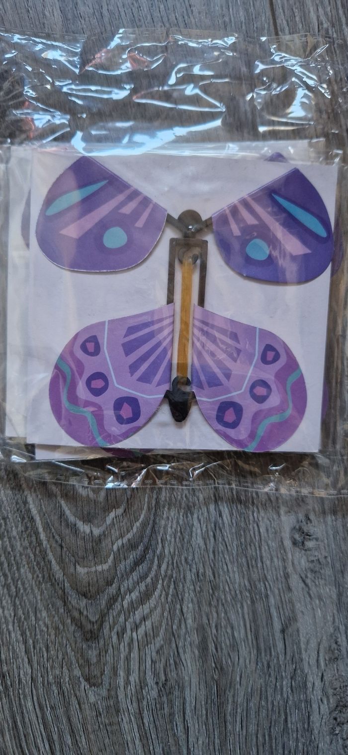 Papillons volant - photo numéro 2