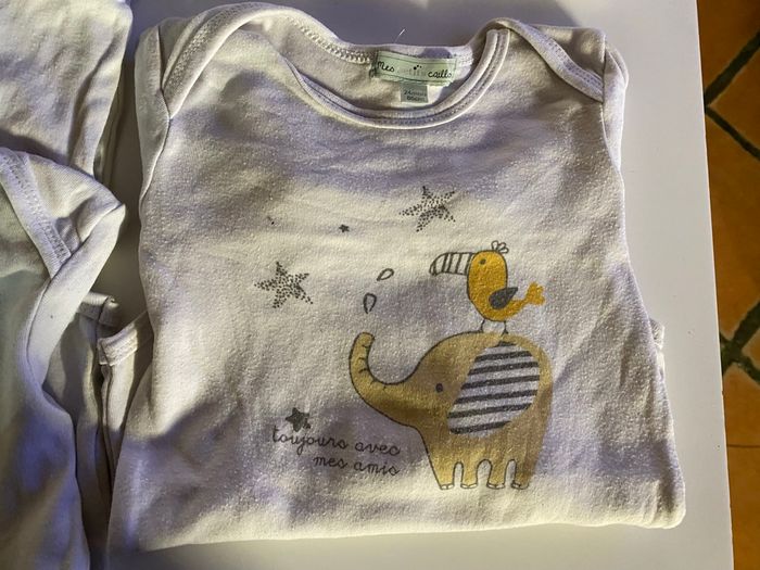 Lot de 8 boby  taille 24 mois mes petits cailloux - photo numéro 3