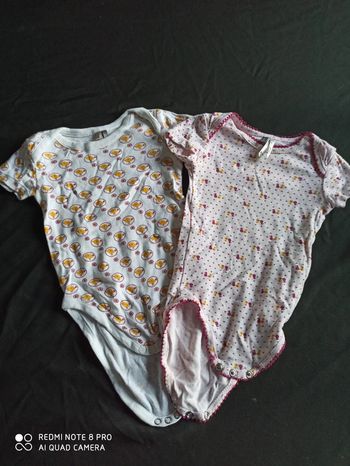 Lot de 2 bodys "poussins"