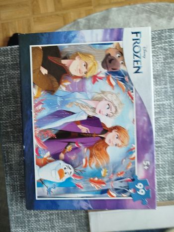 Puzzle frozen