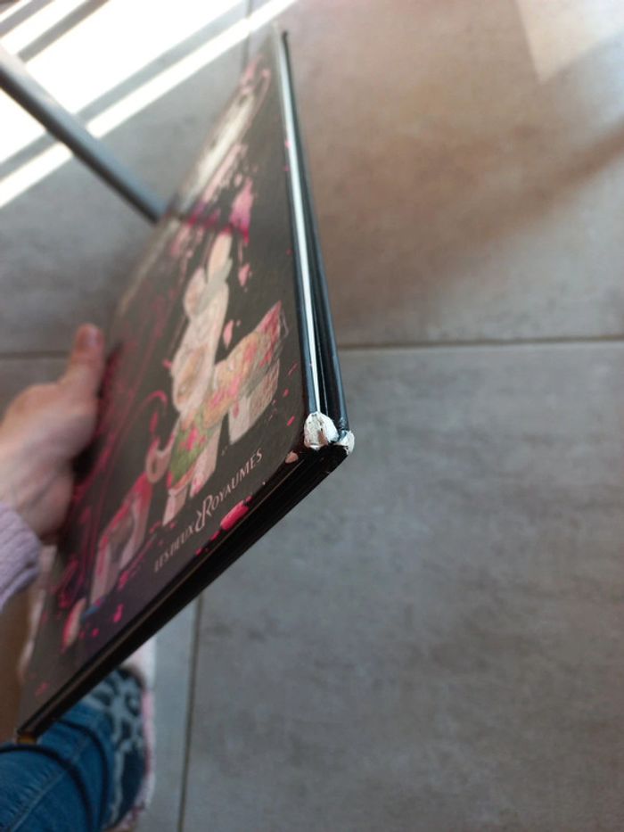 Livre pour enfants Les lapins crétins gribouillages - photo numéro 6