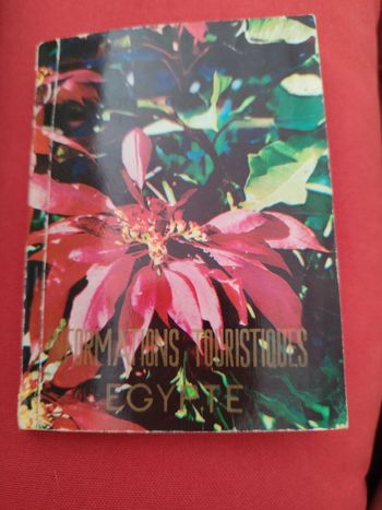 Guide Égypte - informations touristiques