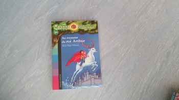 Livre La Cabane Magique numéro 24