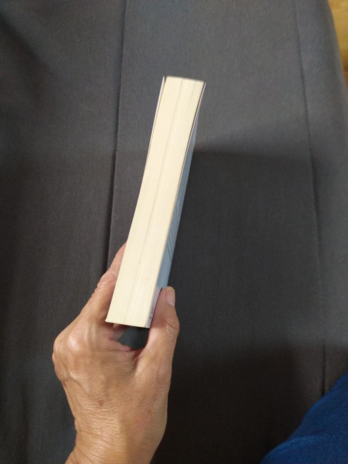 Un fils en or de Shilpi Somaya Gowda - photo numéro 5