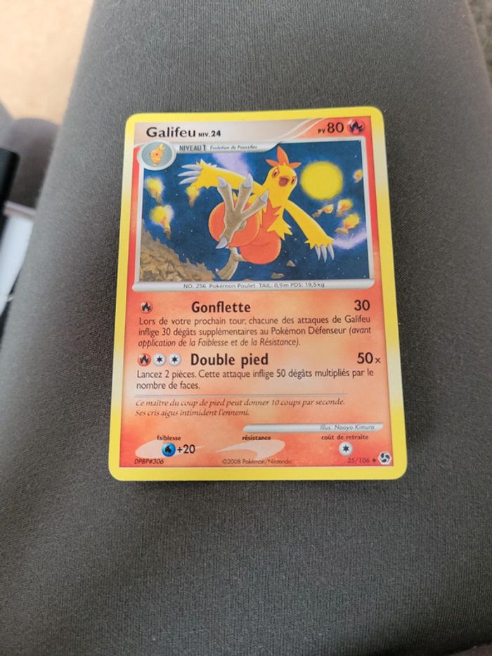 Pokémon galifeu niv24