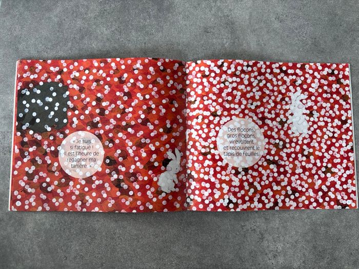 Livre « neige » - photo numéro 4