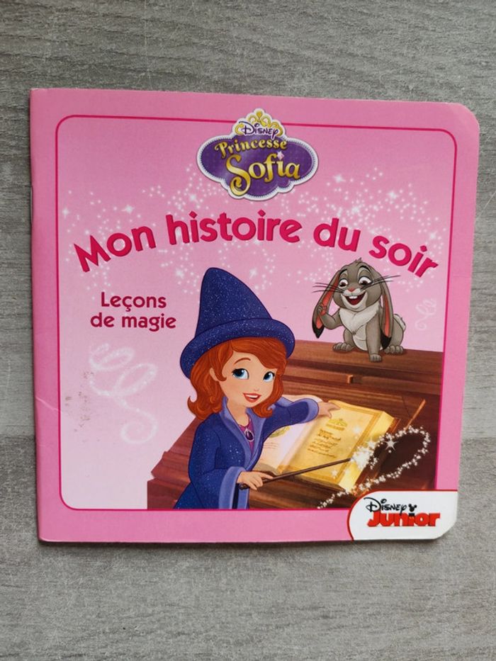Livre mon histoire du soir princesse Sofia Disney