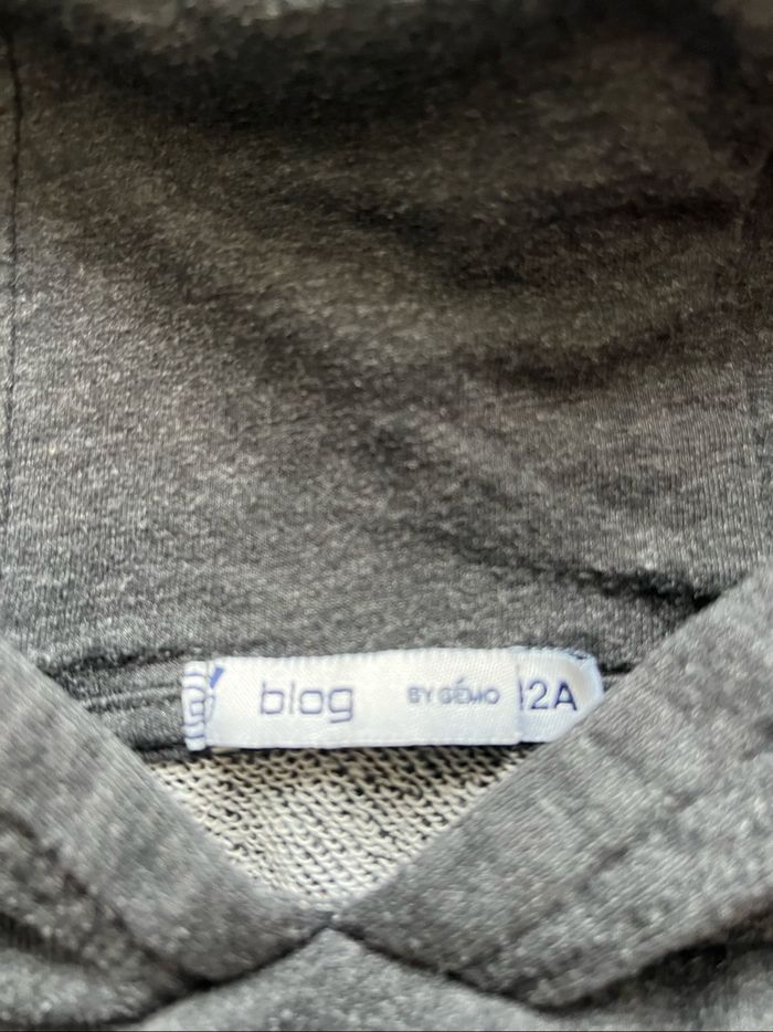Sweat-shirt à capuche garçon 12 ans - photo numéro 3