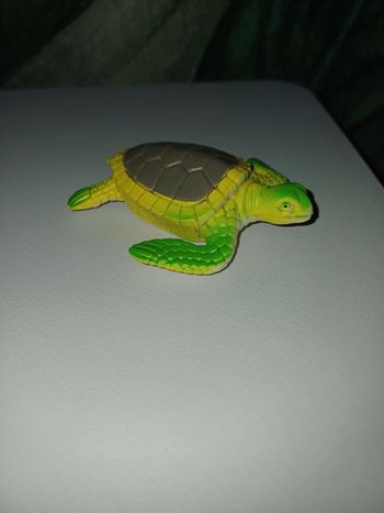 Jouet plastique tortue