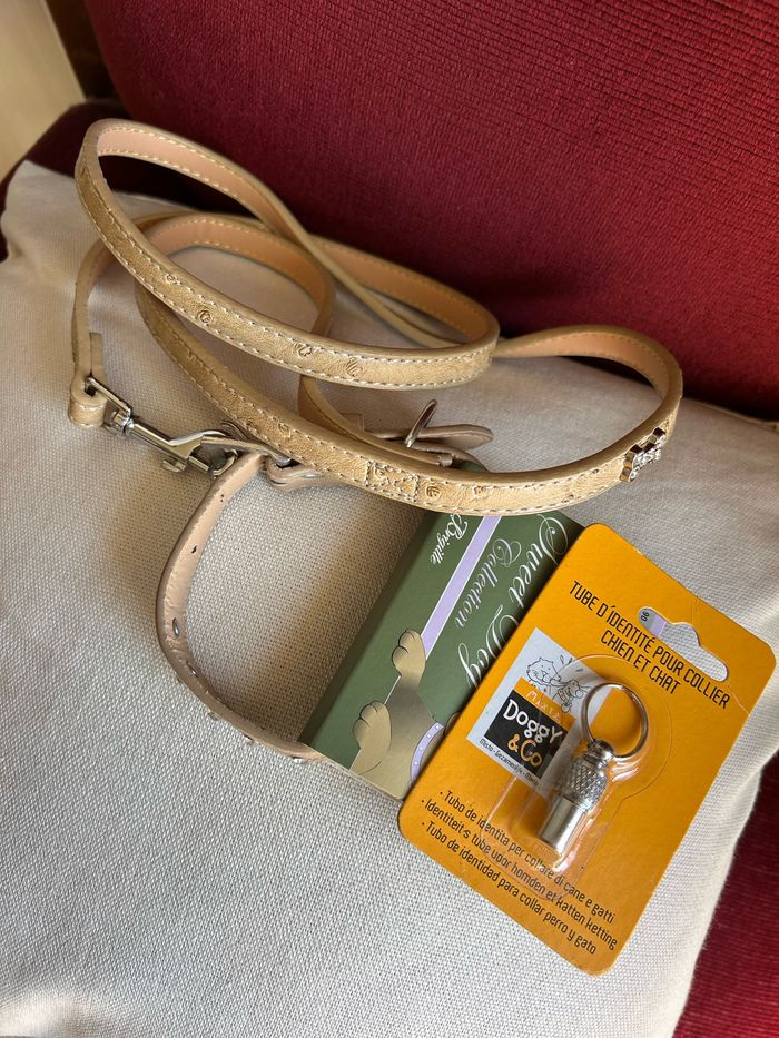 Ensemble accessoires chien - photo numéro 3