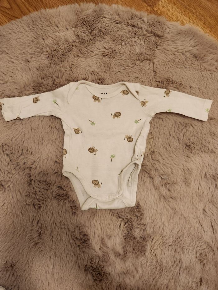 Lot body - photo numéro 3