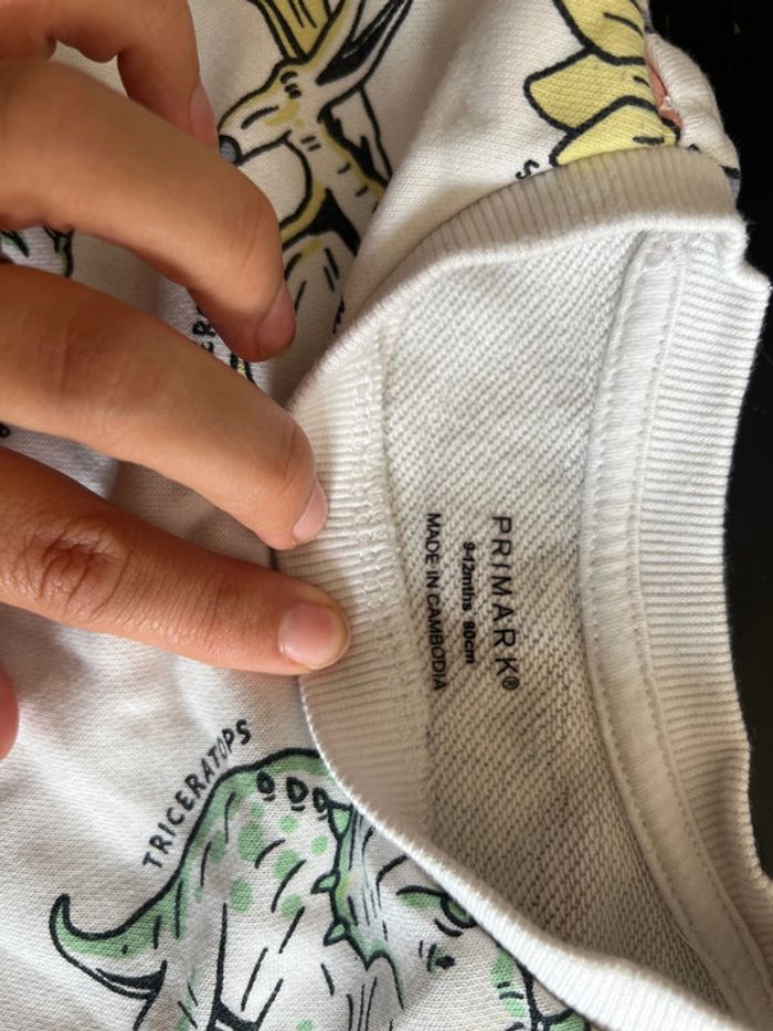 Ensemble - photo numéro 3