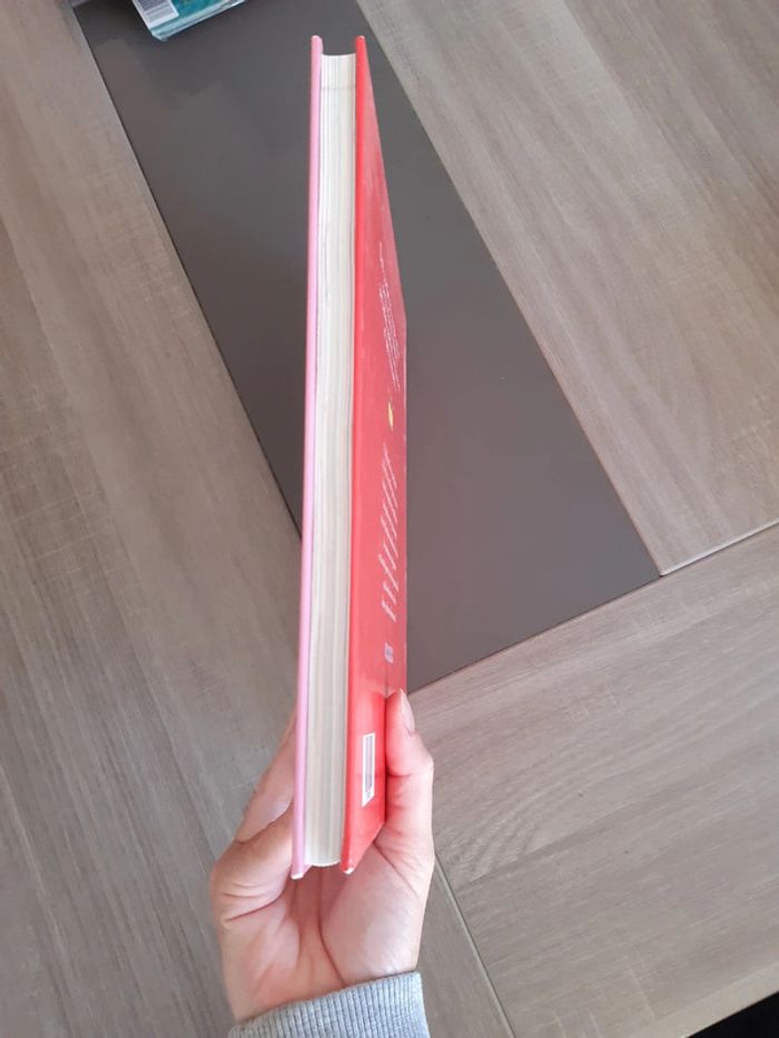 Le grand livre des princes,princesses et grenouilles. - photo numéro 4