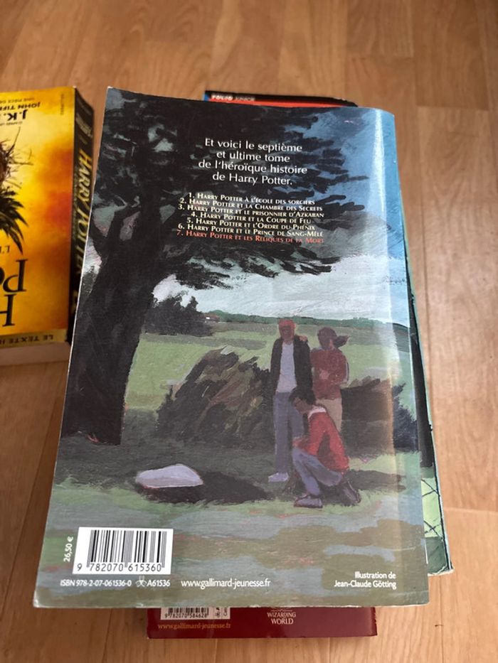 Livre Harry Potter - photo numéro 17