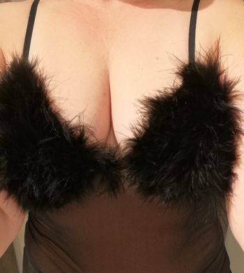 Nuisette à Plumes