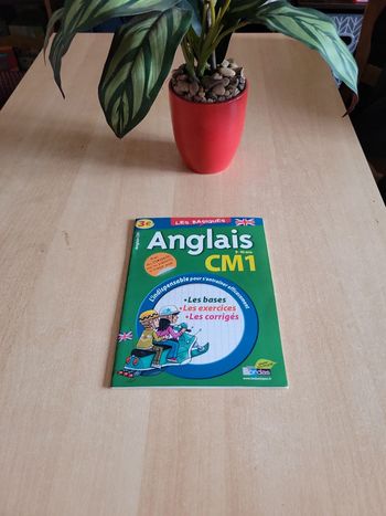 Anglais cm1