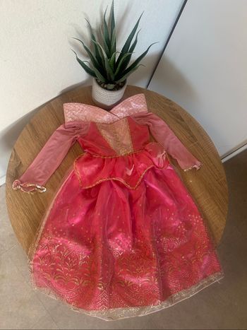 Robe déguisement