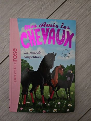 Livre La Grande Compétition de la bibliothèque rose 