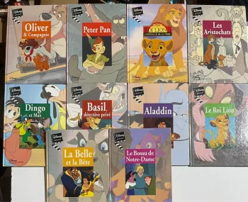 Lot de 10 livres en très bon état Disney pour agrémenter les bibliothèques de vos petits et grands