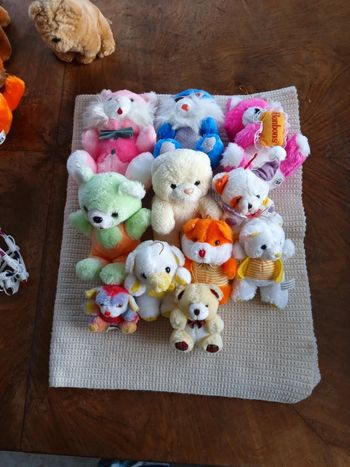 Lot de 11 peluches Ours 🐻