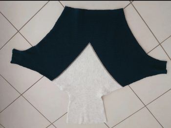 Pull manche chauve souris col roulé