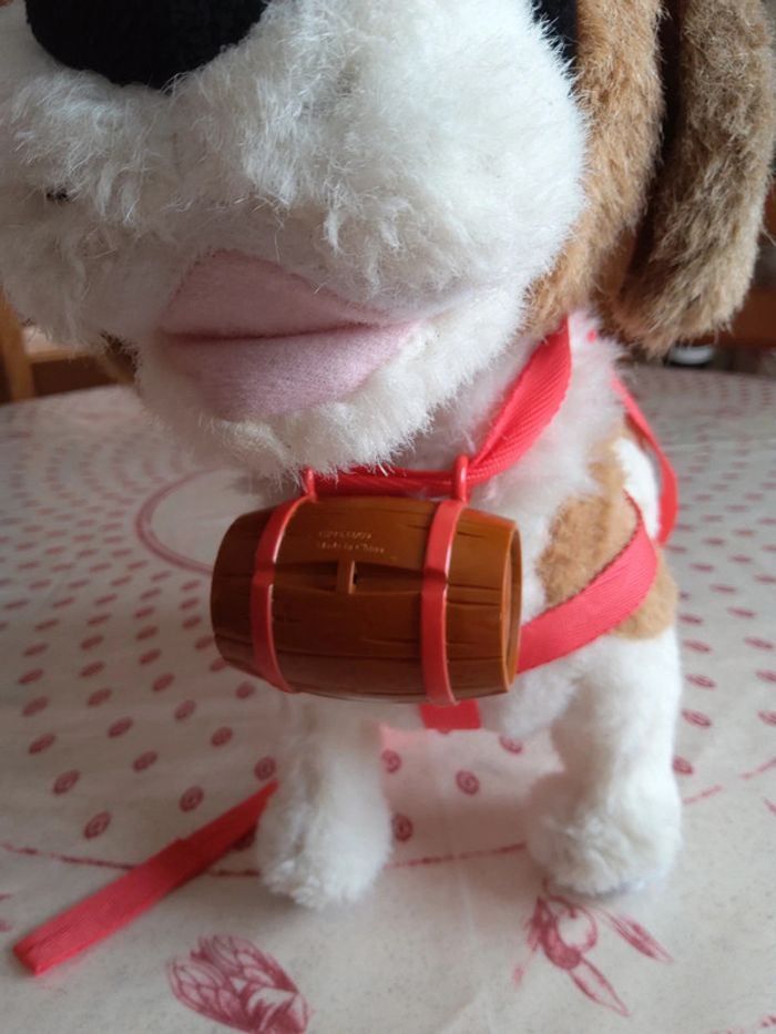 Chien de montagne - photo numéro 5