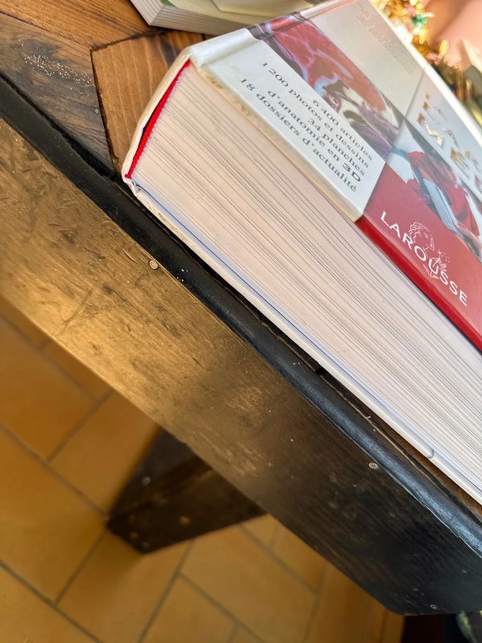 Le Larousse médical - photo numéro 2