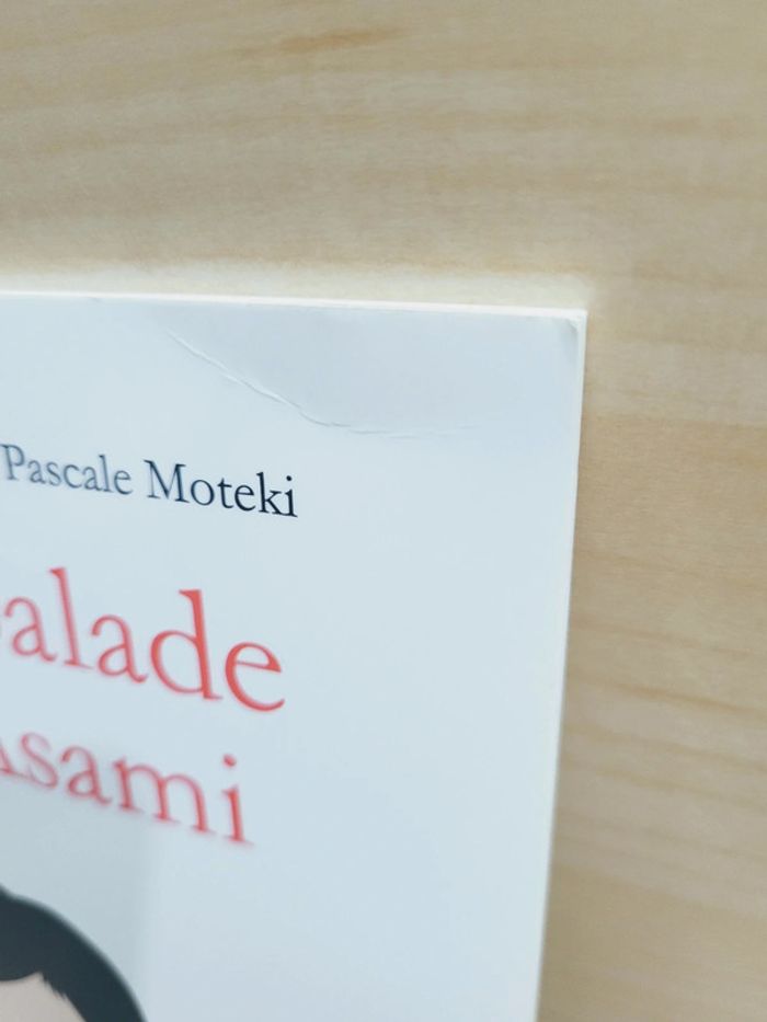 🌺 Livre (école des loisirs) : La balade d'Asami - photo numéro 7