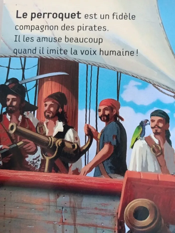 Livre sonore écoute les bruits des pirates - photo numéro 10