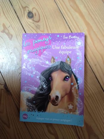 Livre Les poneys magiques