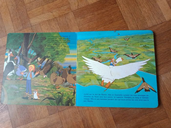 Les aventures de Nils Holgersson 🌞 - photo numéro 2