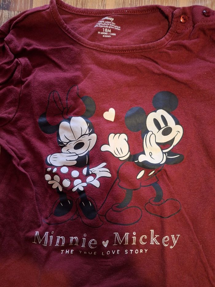 Hauts - photo numéro 2