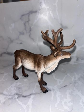 Reine schleich