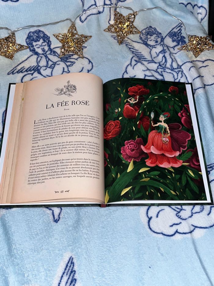 Petit traité de botanique des fées - Album Caroline Scheuer, Chloé Dijon - photo numéro 4