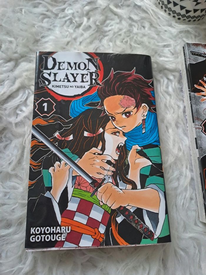 Manga démon slayer tome 1 2 3 - photo numéro 2