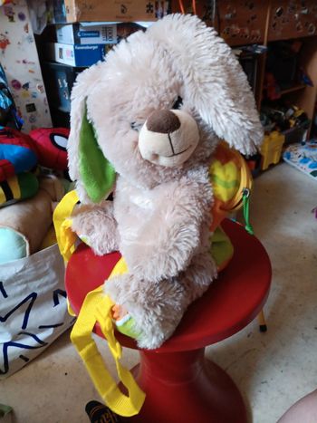 Peluche sac à dos lapin pas de vinted go