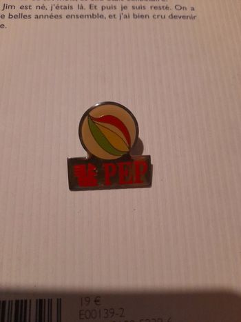 Pins vintage caisse d'épargne