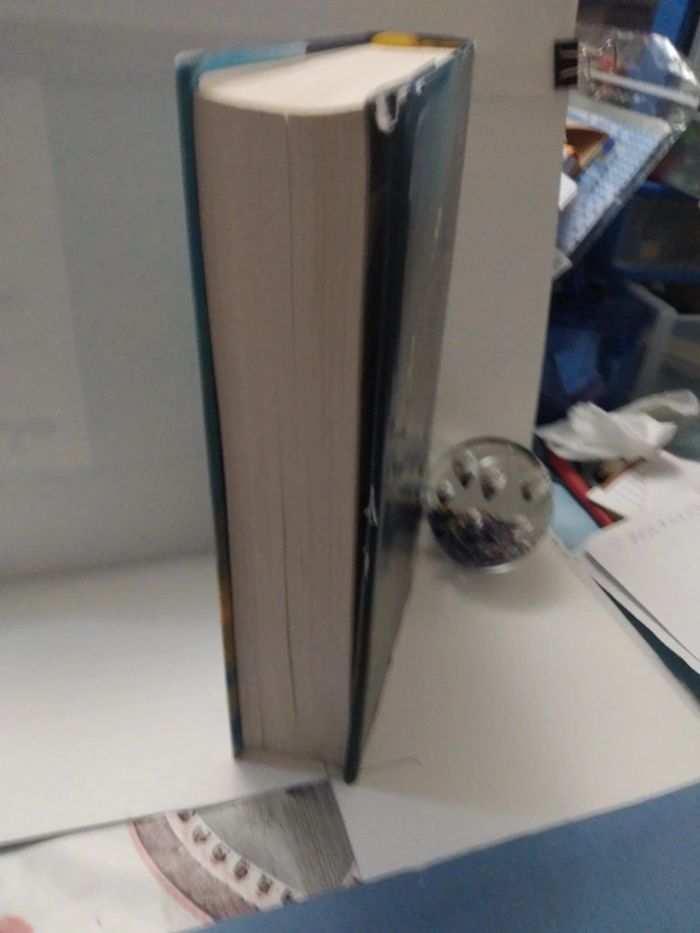 L'espoir est une terre lointaine - photo numéro 4