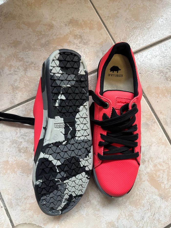 Chaussure animalista - photo numéro 4