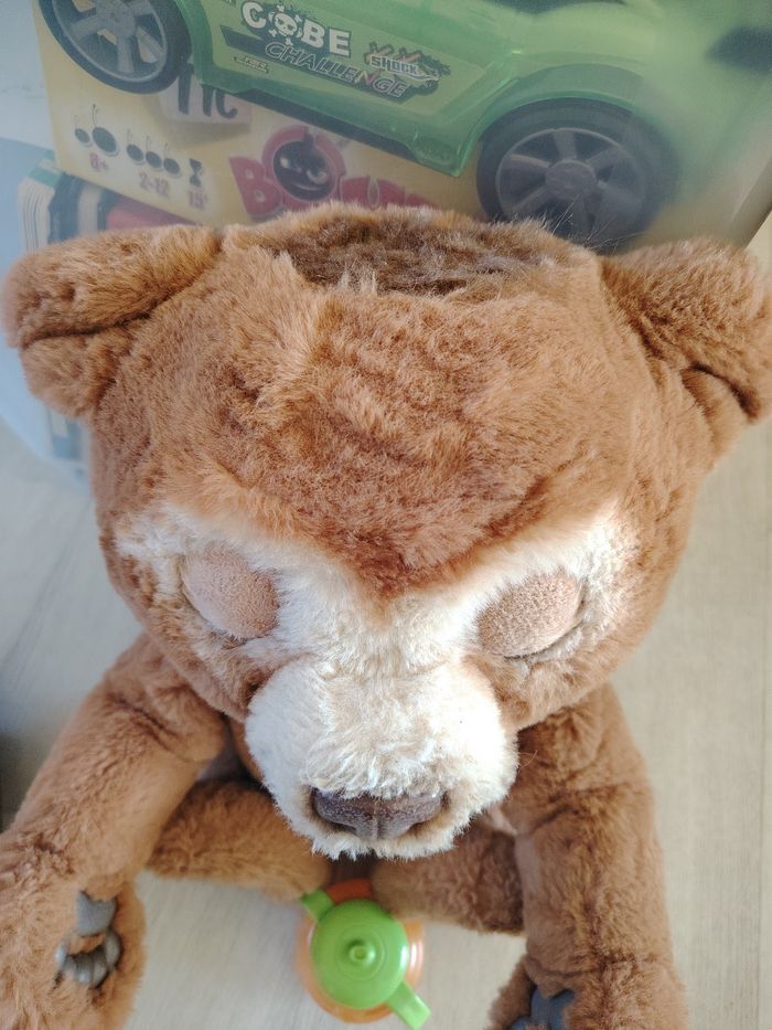 Cubby l'ours curieux - photo numéro 3