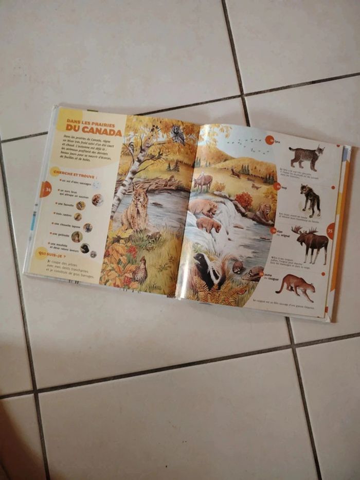 Livre mon grand imagiers des animaux - photo numéro 3