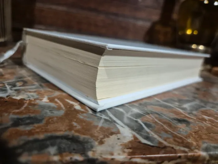 📚 Balzac - Illusions perdues 📚 - photo numéro 5